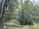 Zarasų rajone, Kloviškų kaime parduodami 2 - nuotraukos Nr. 12