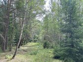 Zarasų rajone, Kloviškų kaime parduodami 2 - nuotraukos Nr. 13