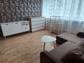 Jaukus, šviesus vieno kambario butas su - nuotraukos Nr. 3