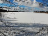 Visai šalia vieno didžiausių ir gražiausių - nuotraukos Nr. 3