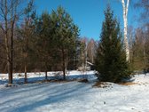 Parduodamas 99.91 aro žemės sklypas. Sklypas - nuotraukos Nr. 11