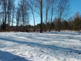 Parduodamas 99.91 aro žemės sklypas. Sklypas - nuotraukos Nr. 13