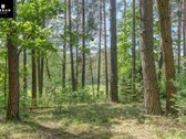Unikalus Sklypas Ant Pačio Neries Upės Kranto - nuotraukos Nr. 3