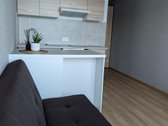 Išnuomojamas tvarkingas, šviesus ir - nuotraukos Nr. 3