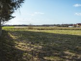 Parduodamas 24a sklypas Tirkšlių miestelyje. - nuotraukos Nr. 5