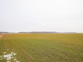 Parduodamas 5,2 Ha Žemės Ūkio Paskirties - nuotraukos Nr. 4