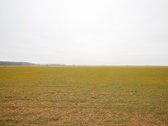 Parduodamas 5,2 Ha Žemės Ūkio Paskirties - nuotraukos Nr. 3