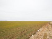 Parduodamas 5,2 Ha Žemės Ūkio Paskirties - nuotraukos Nr. 12
