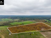 Pradruodamas 6.8200 Ha Sklypas Su Kūdra,. - nuotraukos Nr. 4