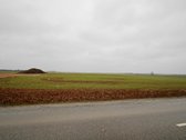 Kauno rajone, Vijukų k., Romainių pašonėje - nuotraukos Nr. 3
