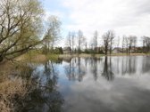 Parduodamas žemes ūkio žemes sklypo plotas 8 - nuotraukos Nr. 26