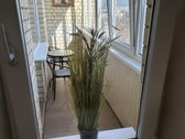 Naujai įrengtas 1 kamb. butas Šeškinėje su - nuotraukos Nr. 11