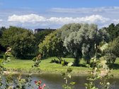 Nauja, pilnai įrengta 2 kambarių studija su - nuotraukos Nr. 34