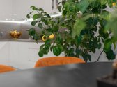 Parduodamas Pilnai Įrengtas 140 kv.m., 5-ių - nuotraukos Nr. 12
