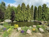 Parduodamos sandėliavimo – prekybos – gamybos - nuotraukos Nr. 18