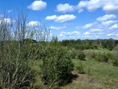 Alsakėlių Kaime, Trakų R. Parduodamas Žemės - nuotraukos Nr. 5