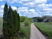 Alsakėlių Kaime, Trakų R. Parduodamas Žemės - nuotraukos Nr. 9