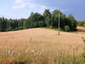 Parduodami 3 žemės ūkio paskirties sklypai -