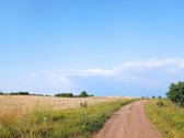 Parduodami 3 žemės ūkio paskirties sklypai - - nuotraukos Nr. 7