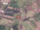 Parduodamas 2.5 Ha Žemės Ūkio Paskirties Sklypas - nuotraukos Nr. 5