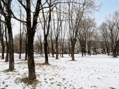 Butas Prie Neries! - nuotraukos Nr. 27