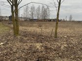 Elektrėnų sav., Kalninių Mijaugonių k. - nuotraukos Nr. 2