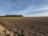Parduodamas 1,6 Ha Žemės Ūkio Paskirties - nuotraukos Nr. 2