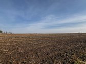 Parduodamas 1,6 Ha Žemės Ūkio Paskirties - nuotraukos Nr. 6