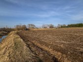 Parduodamas 1,6 Ha Žemės Ūkio Paskirties - nuotraukos Nr. 9