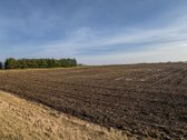 Parduodamas 1,6 Ha Žemės Ūkio Paskirties - nuotraukos Nr. 11