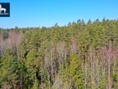 Parduodamas Miškų ūkio paskirties sklypas