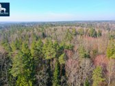 Parduodamas Miškų ūkio paskirties sklypas - nuotraukos Nr. 2