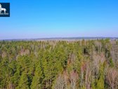 Parduodamas Miškų ūkio paskirties sklypas - nuotraukos Nr. 7