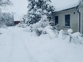 Parduodamas Namas (Sklypo plotas 659m2) - nuotraukos Nr. 2