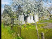 Parduodamas Namas (Sklypo plotas 659m2) - nuotraukos Nr. 12
