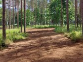 Sklypas Sodybai Ant Luodžio Ežero Kranto Su - nuotraukos Nr. 17