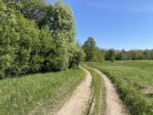 Parduodami 3 Sklypai. 2 Iš Jų Besiribojantys - nuotraukos Nr. 12