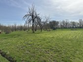 Skubiai parduodamas 7.21 arų sodo sklypas už - nuotraukos Nr. 12