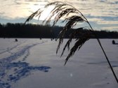 Šiaulių miesto centre,prie Talkšos ežero - nuotraukos Nr. 10