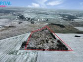 Parduodamas 4.40 ha žemės sklypas Vilniaus - nuotraukos Nr. 2
