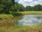 Parduodamas 29 arų namų valdos, išlygintas - nuotraukos Nr. 2