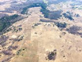 Parduodamas išskirtinis 2,71 ha sklypas - nuotraukos Nr. 9