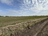 Parduodamas 1,69ha žemės ūkio paskirties - nuotraukos Nr. 3