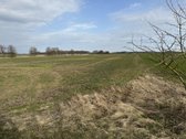 Parduodamas 1,69ha žemės ūkio paskirties - nuotraukos Nr. 4