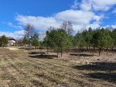 Parduodamas 53 Arų Sklypas Su Ūkininko - nuotraukos Nr. 8