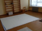 Naujai įrengti vieno ir dviejų kambarių butai.  - nuotraukos Nr. 13