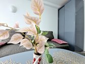 Parduodamas jaukus, naujai suremontuotas - nuotraukos Nr. 6
