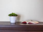 Parduodamas renovuotas- labai išskirtinis net - nuotraukos Nr. 12