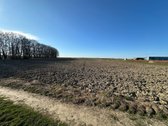 Parduodamas 1,58 ha sklypas iš kurio - nuotraukos Nr. 4