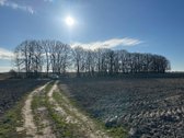 Parduodamas 1,58 ha sklypas iš kurio - nuotraukos Nr. 6